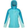 Dames Highton Pro Waterdicht Jasje (Turquoise/anjerblauw)