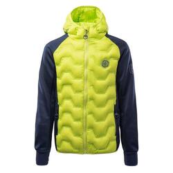 Veste Matelassée STUART Garçon (Vert Citron / Saphir Foncé)