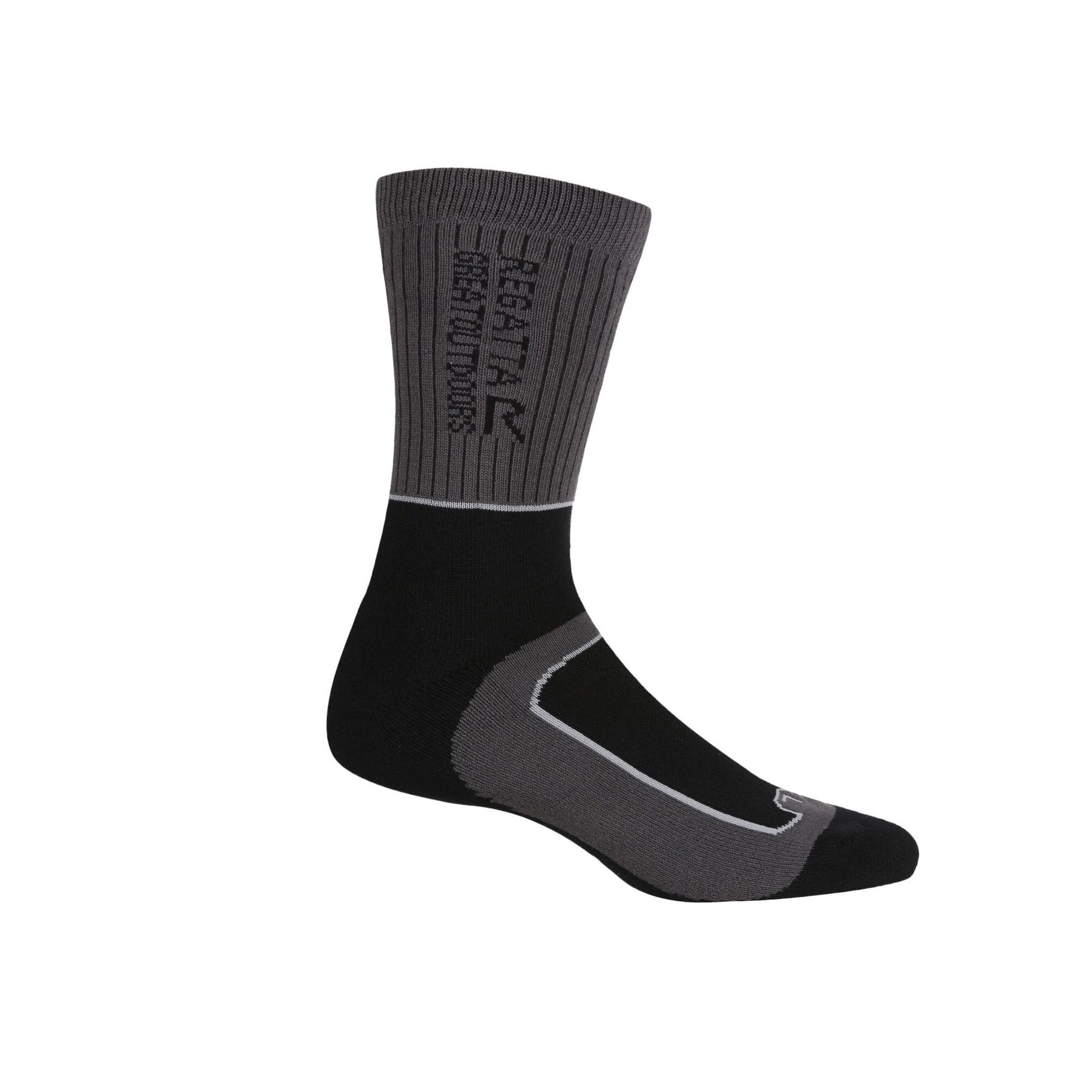 Womens/Ladies Samaris 2 Season Boot Socks (Briar Grey/Light Steel) 3/4