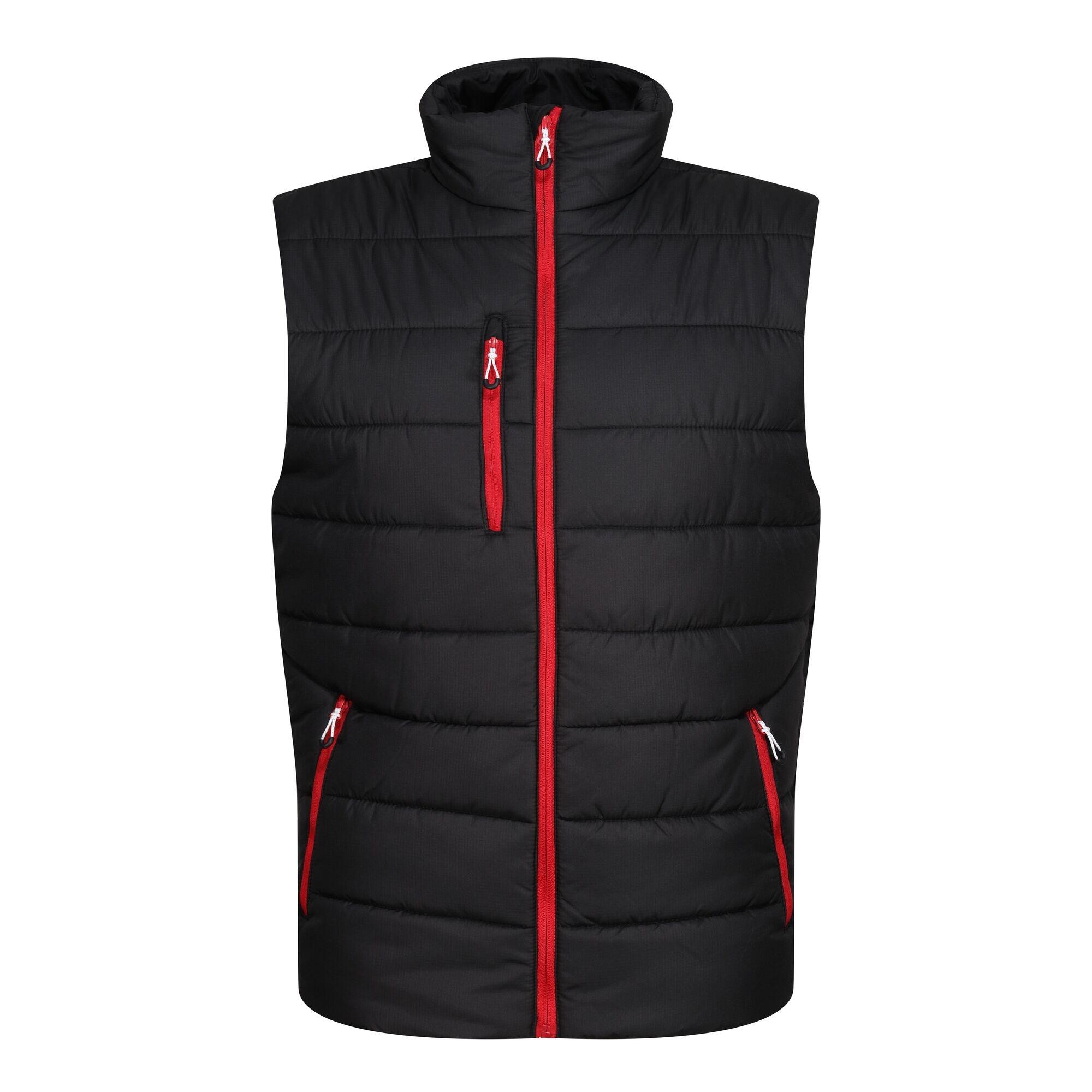 REGATTA Mens Navigate Thermal Body Warmer (Black/Classic Red)