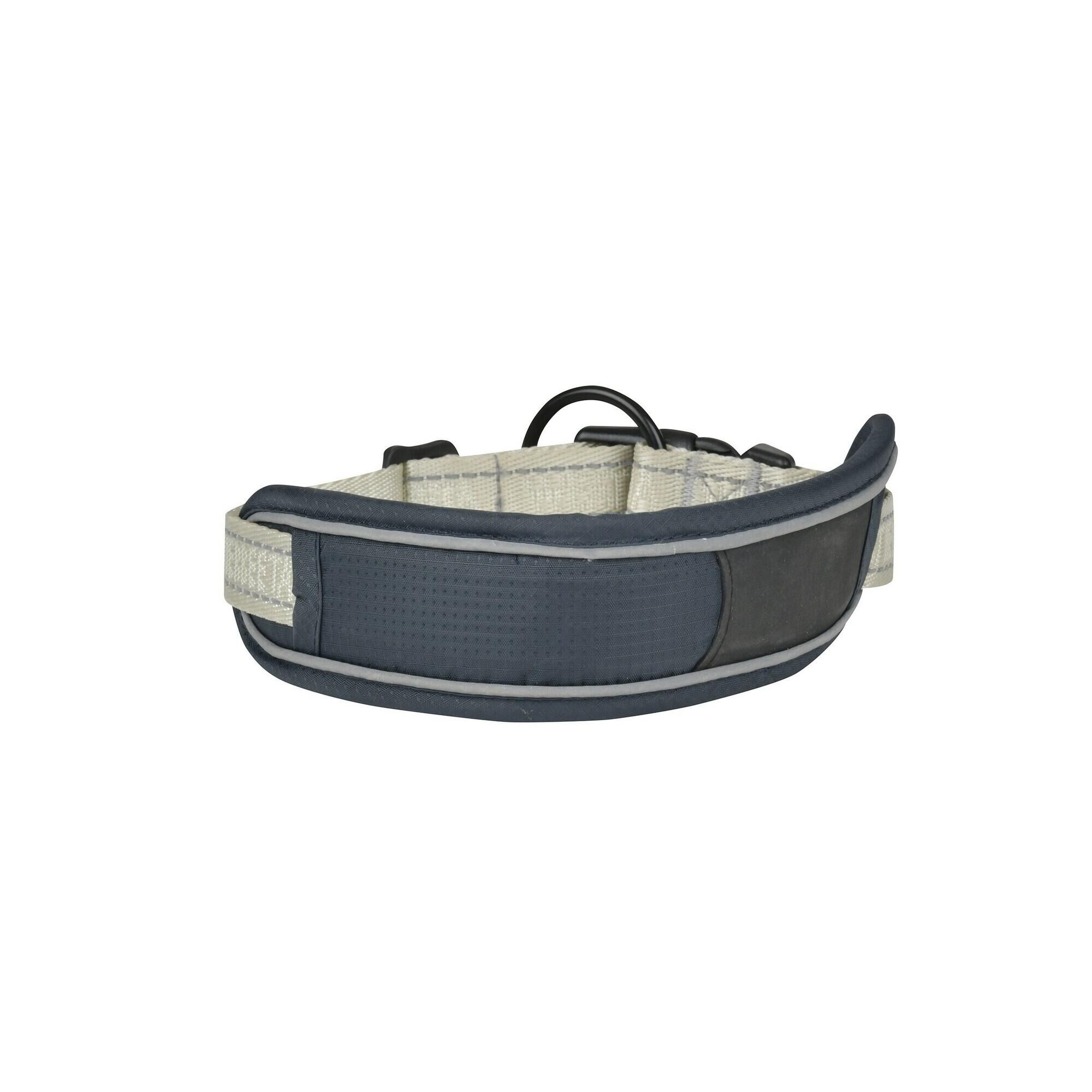 WEATHERBEETA Explorer Dog Collar (Navy)