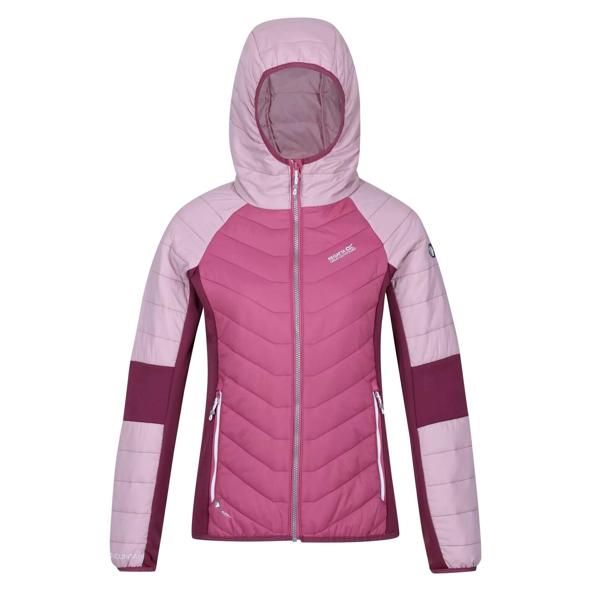 REGATTA Womens/Ladies Trutton Lightweight Padded Jacket (Violet/Fragrant Lilac/Amaranth