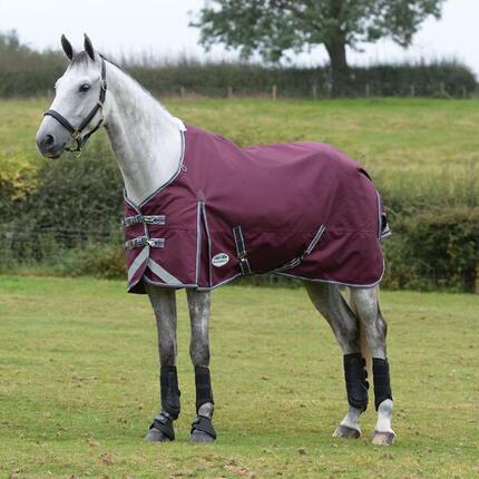 Couverture D´extérieur Pour Chevaux COMFITEC PLUS DYNAMIC (Pourpre / Gris /