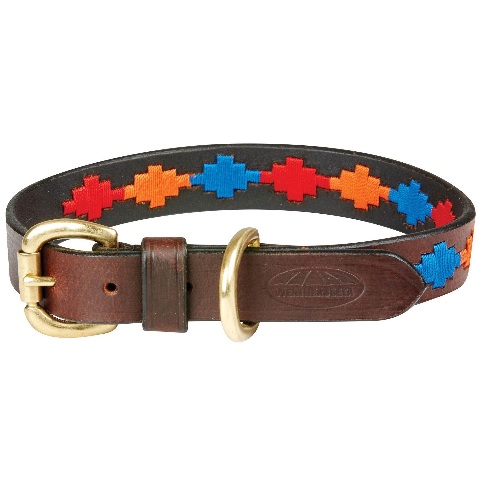 WEATHERBEETA Polo Leather Dog Collar (Brown/Red/Orange/Blue)