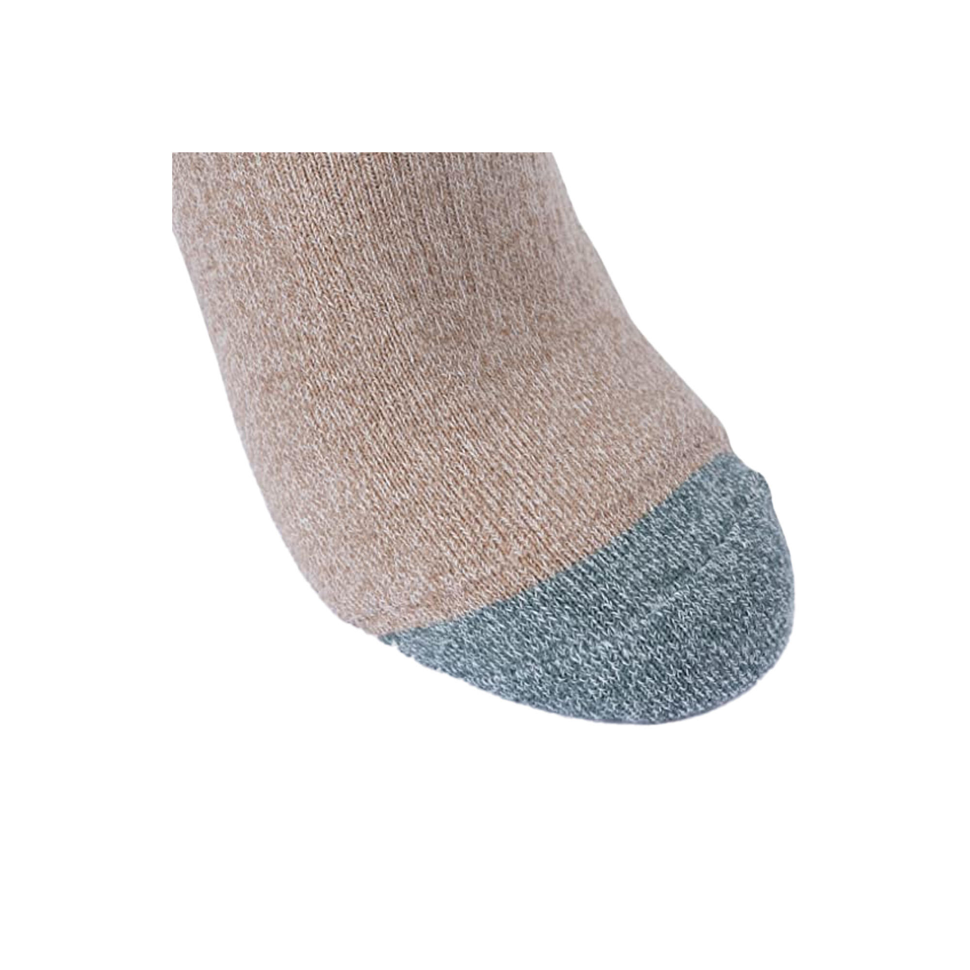 Hadley Chaussettes de marche (2 paires) Femme (Vert sombre / Pourpre) 2/5