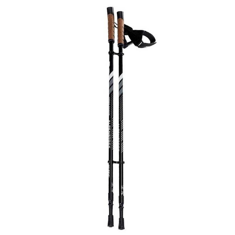 Kije Trekkingowe Alpenstock II