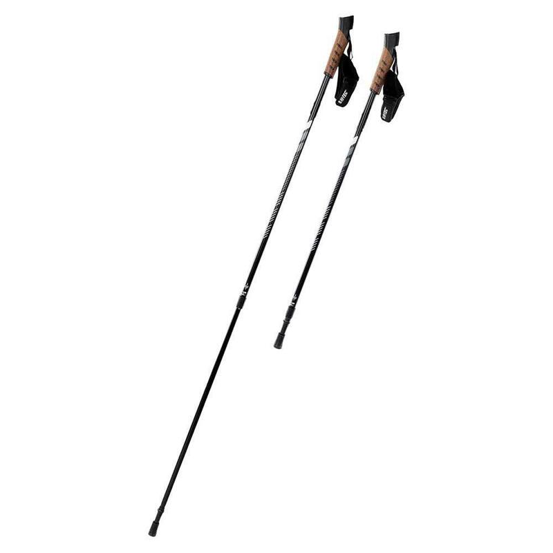 Bastones de Senderismo Alpenstock II Negro, Gris