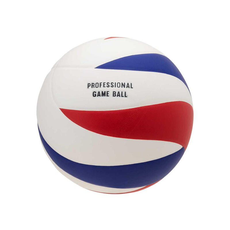 Zeemeeuwen Volleybal (Wit/blauw/rood)