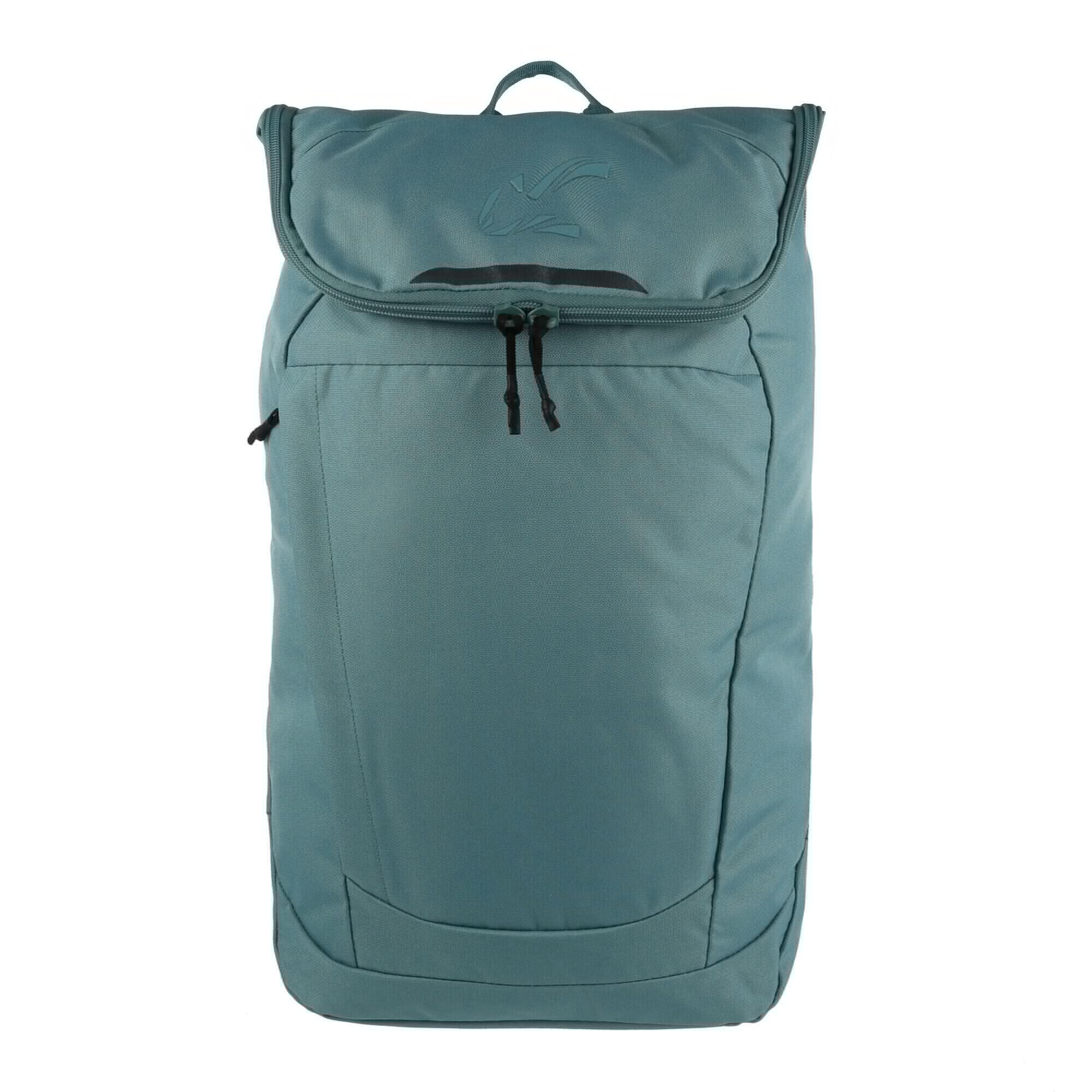 REGATTA Shilton 20L Backpack (Ivy Moss)