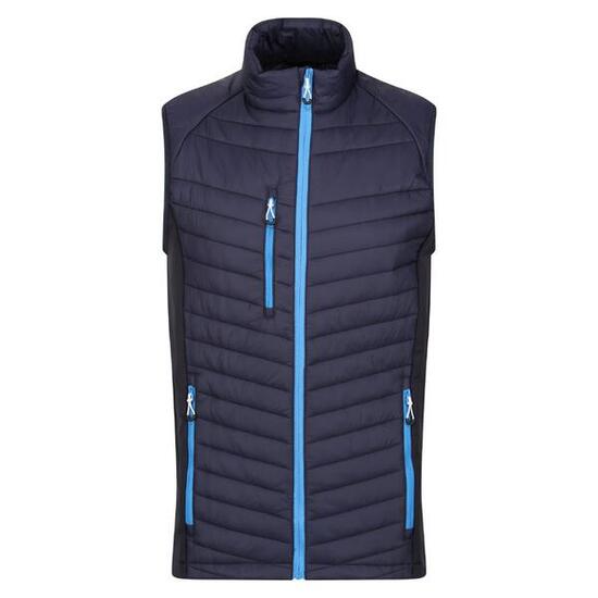 Veste Sans Manches Homme (Bleu Marine / Bleu)