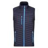 Heren Navigate Gewatteerd Hybride Gilet (Marine / Frans Blauw)