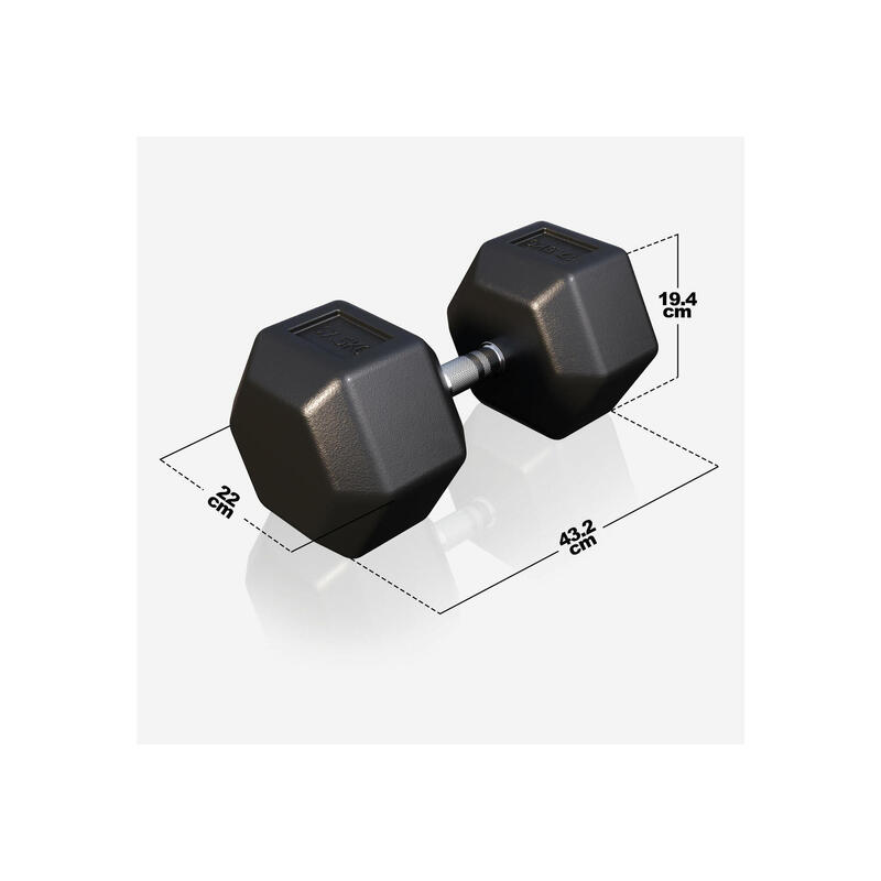 Dumbbell - 1 x 47,5 kg - Gietijzer - Hexagon - Halter