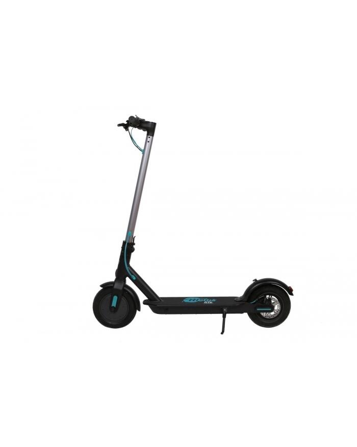 Elektroroller Motus Scooty 10 LITE 2020 350W 20km/h 7/7