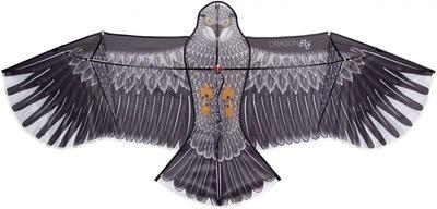 Einzeiliger Drachen Eagle 180cm