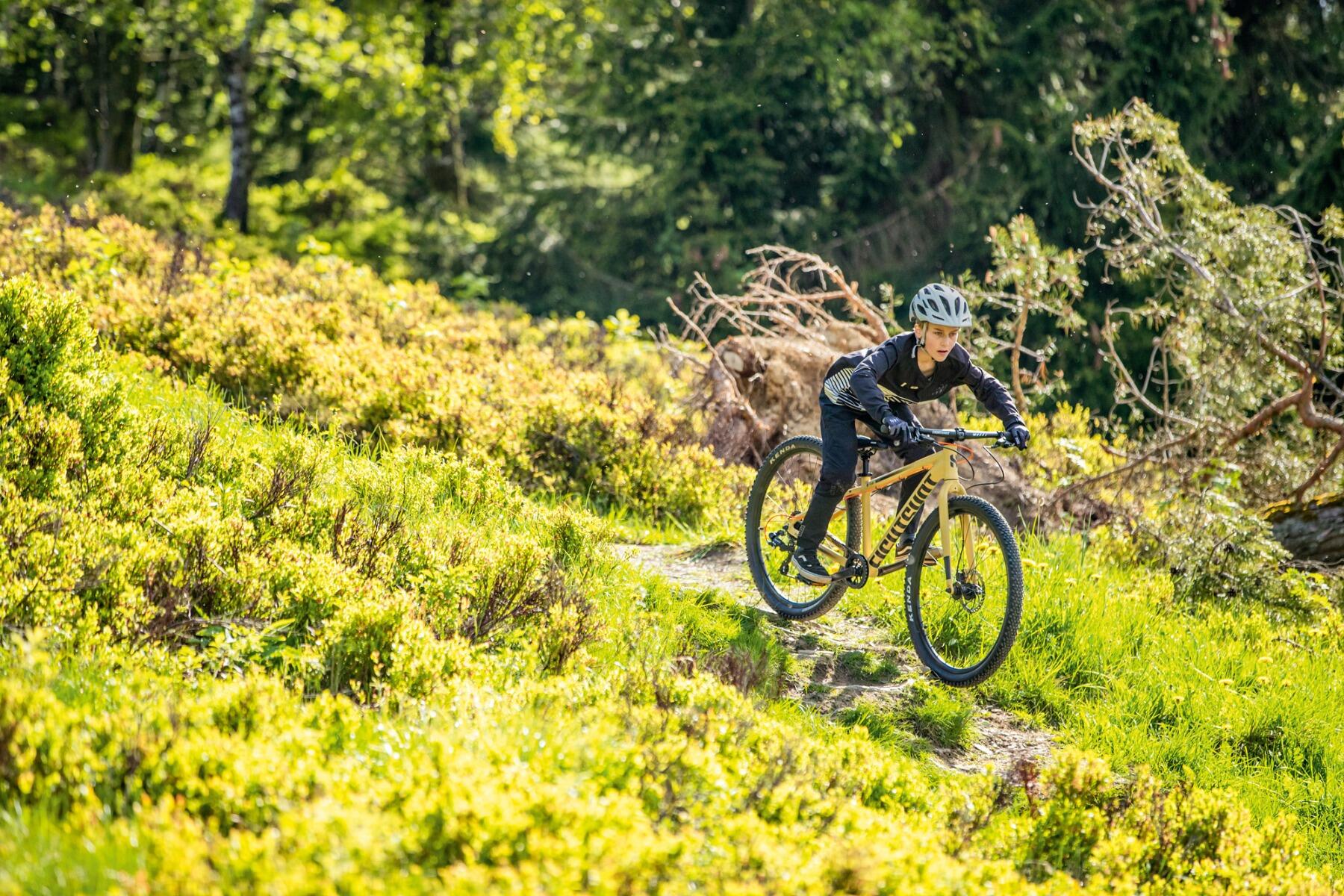EIGHTSHOT X-COADY 275 SL DISC - sand 4/4
