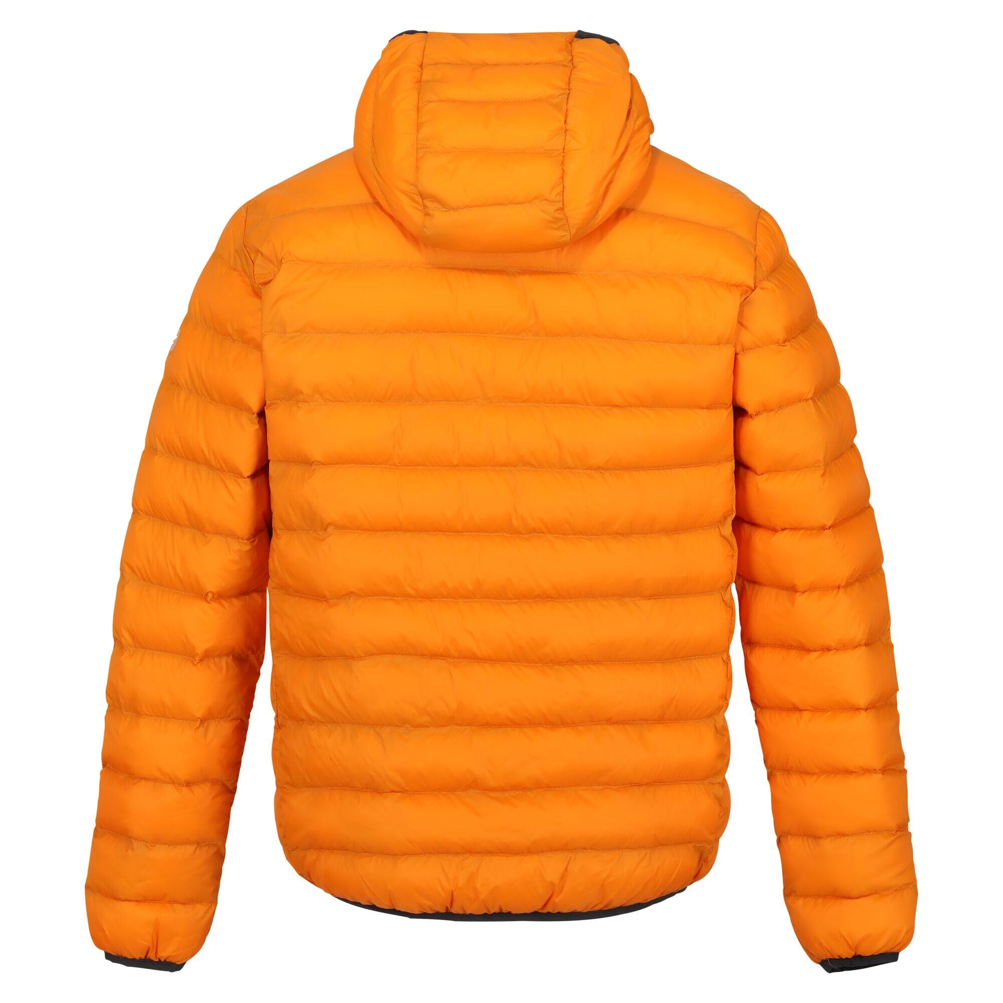 Mens Marizion Baffled Hooded Padded Jacket (Orange Pepper/Burnt Copper) 2/5