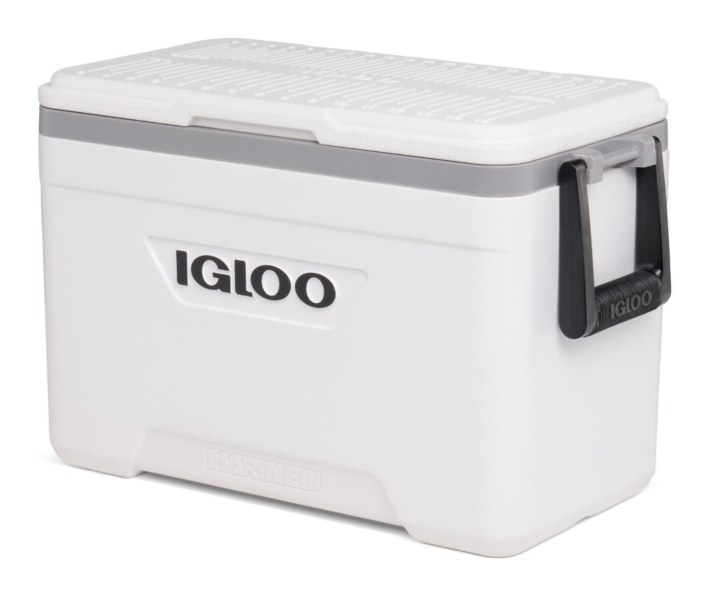 IGLOO picture