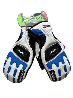 Herren Level Demo Pro Mitt Skihandschuhe