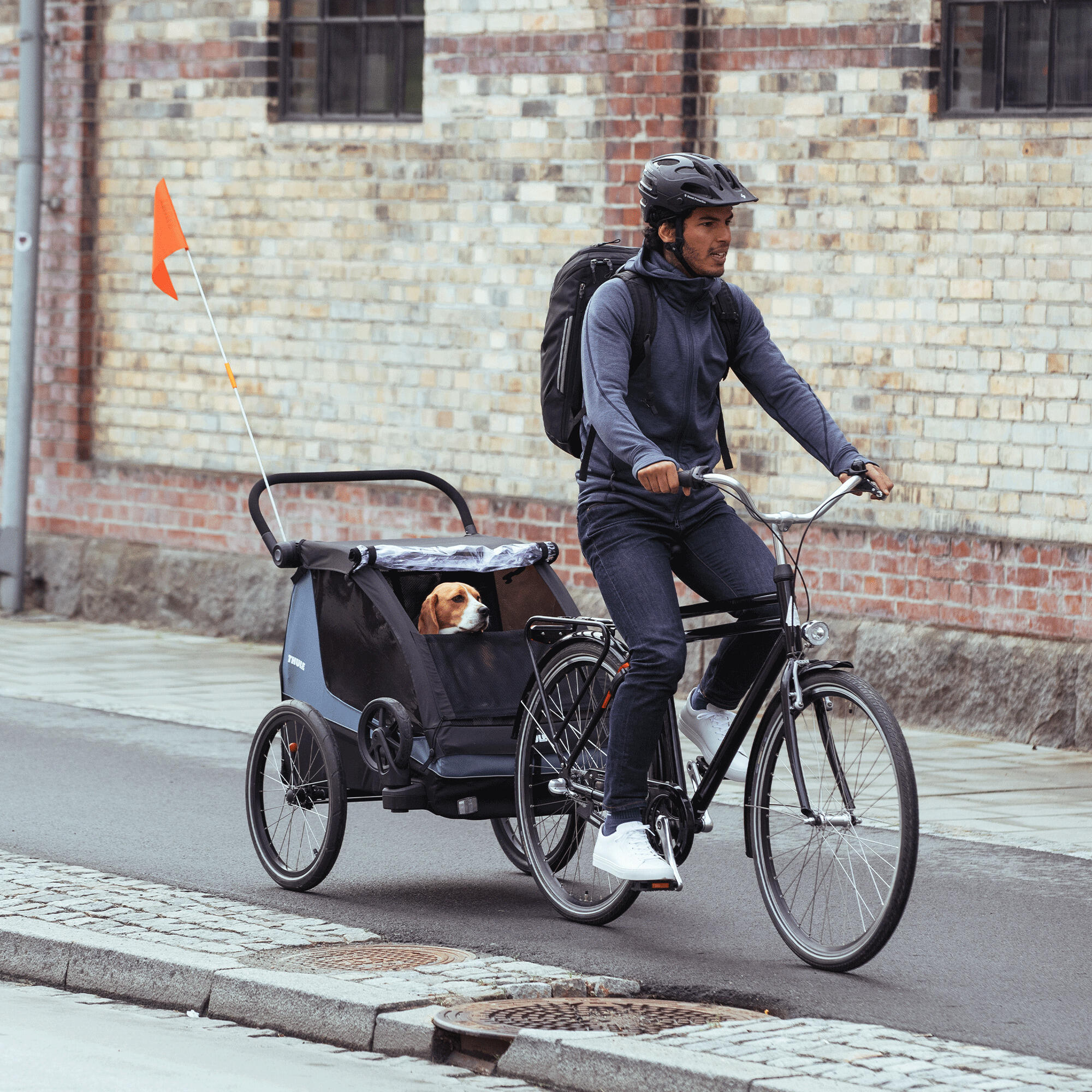 Fietstraileraccessoire Thule Courier dog trailer kit 3/5