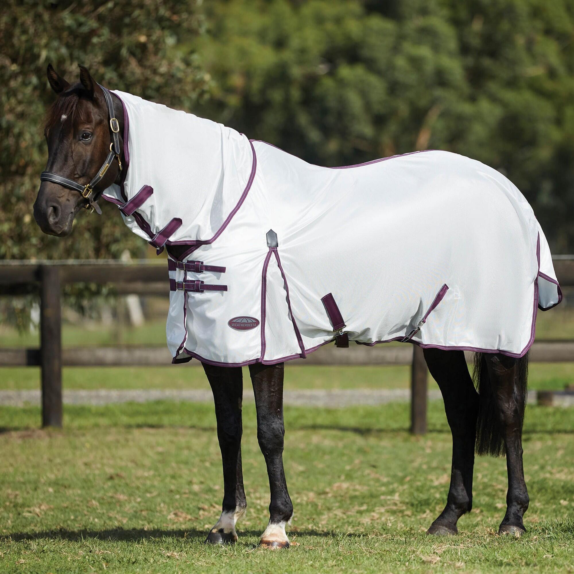 COMFITEC Horse Blanket (White / Purple / Grey)