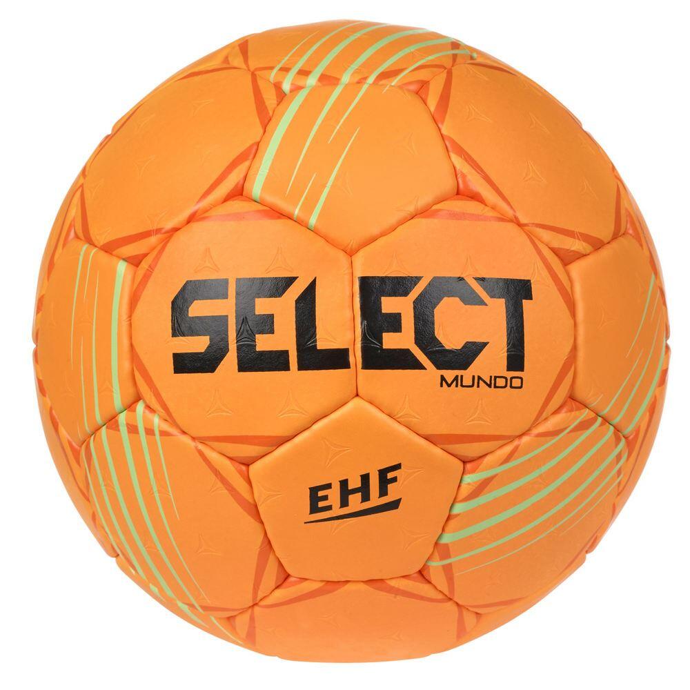 SELECT picture