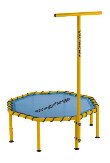 Aquaness - Wassertrampolin mit Haltestange TR1