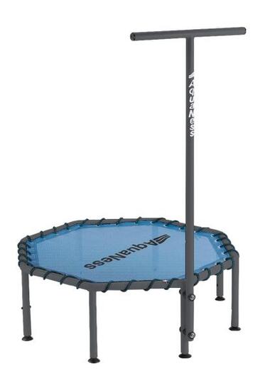 Aquaness - Wassertrampolin mit Haltestange TR1