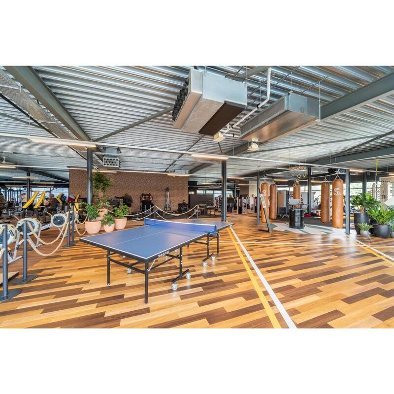 Table de tennis de table PEGASI Office 250 Indoor