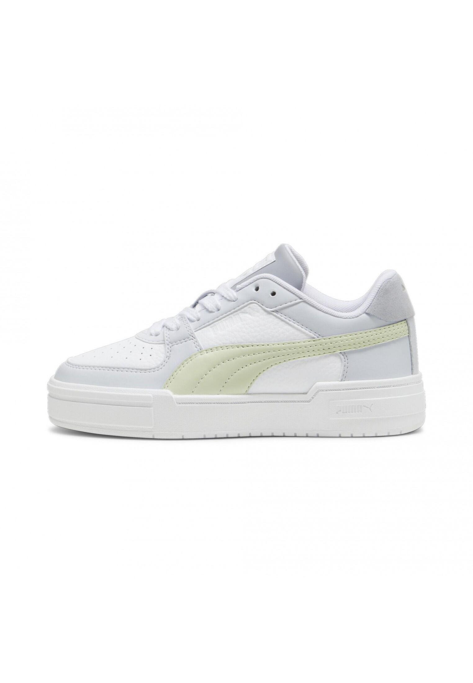 PUMA picture