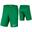 Pánské fotbalové kraťasy Dri-Fit Park III Knit Short