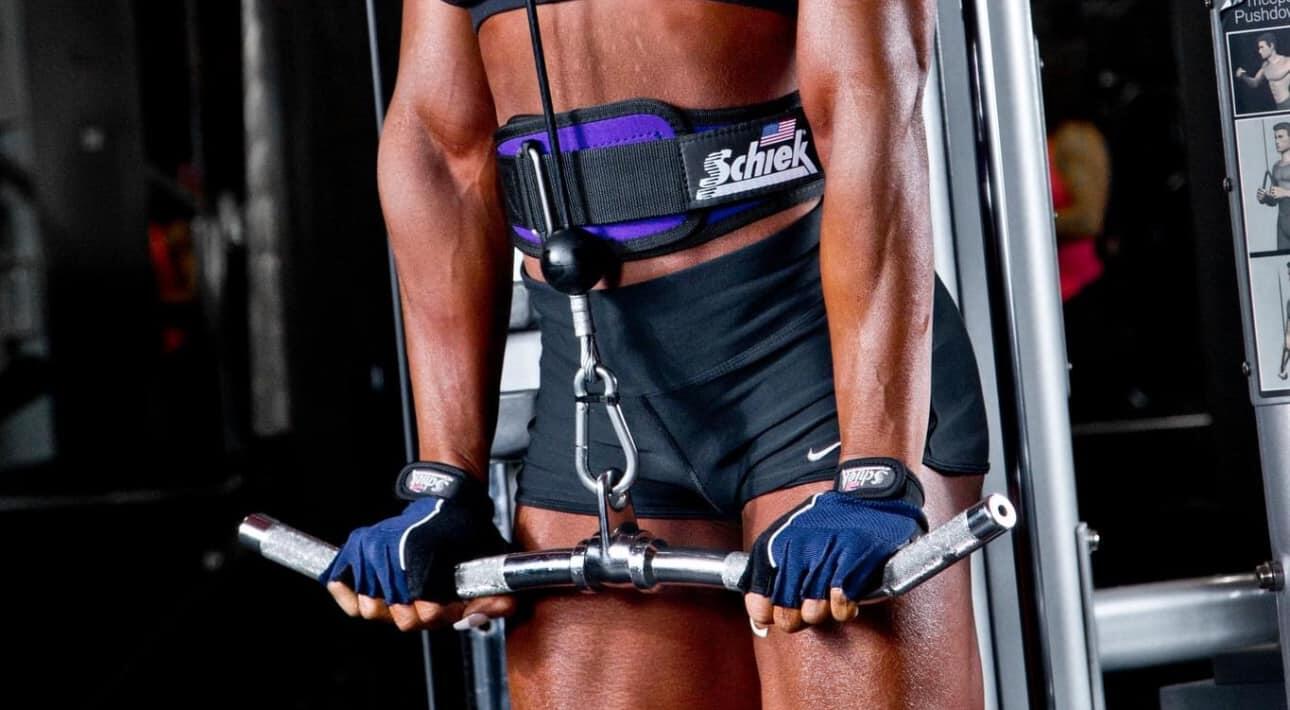 Profiled Lifting Belt Model 2004 5/5