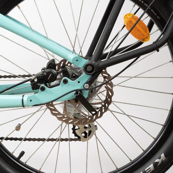 Bici elettrica cargo Nilox C2 250W per famiglia e città 6/7