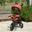 Triciclo Criança 92x51x110 cm Vermelho e Preto HOMCOM