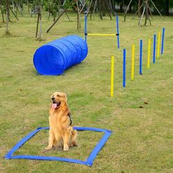 Juego canino agility empalizada