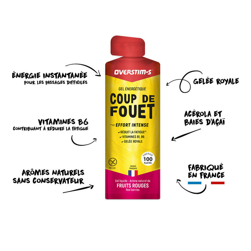 Gel énergie instantanée Coup de Fouet - Citron - 10X34G