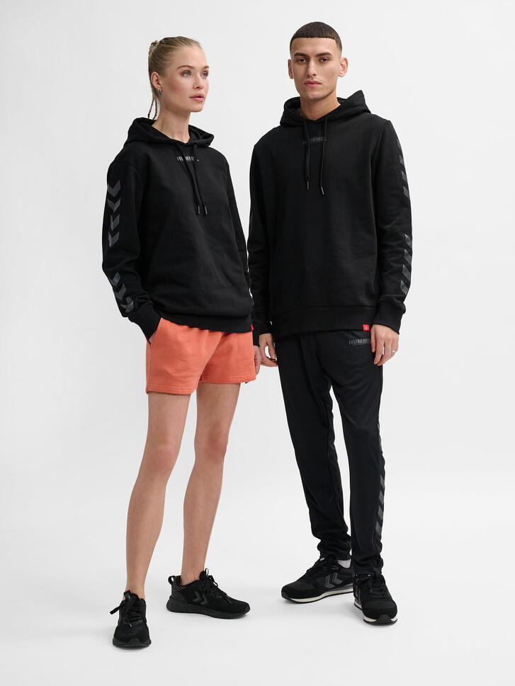 Hoodie Hummel hmlLEGACY