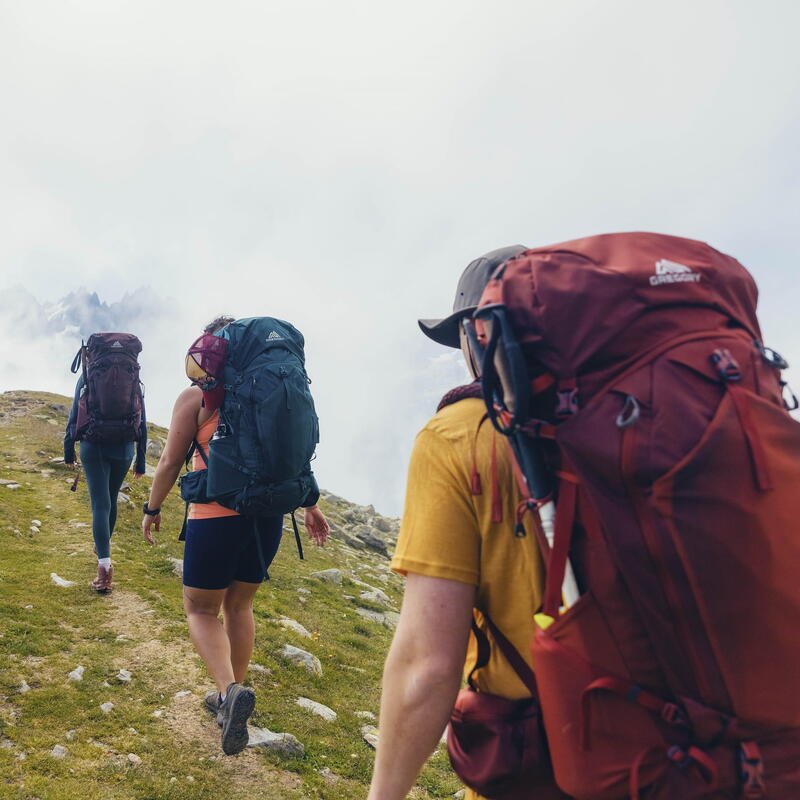 Sac à dos de trekking Gregory Baltoro 65 pour homme