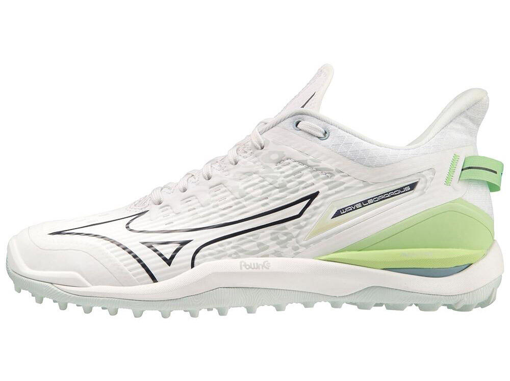 MIZUNO picture