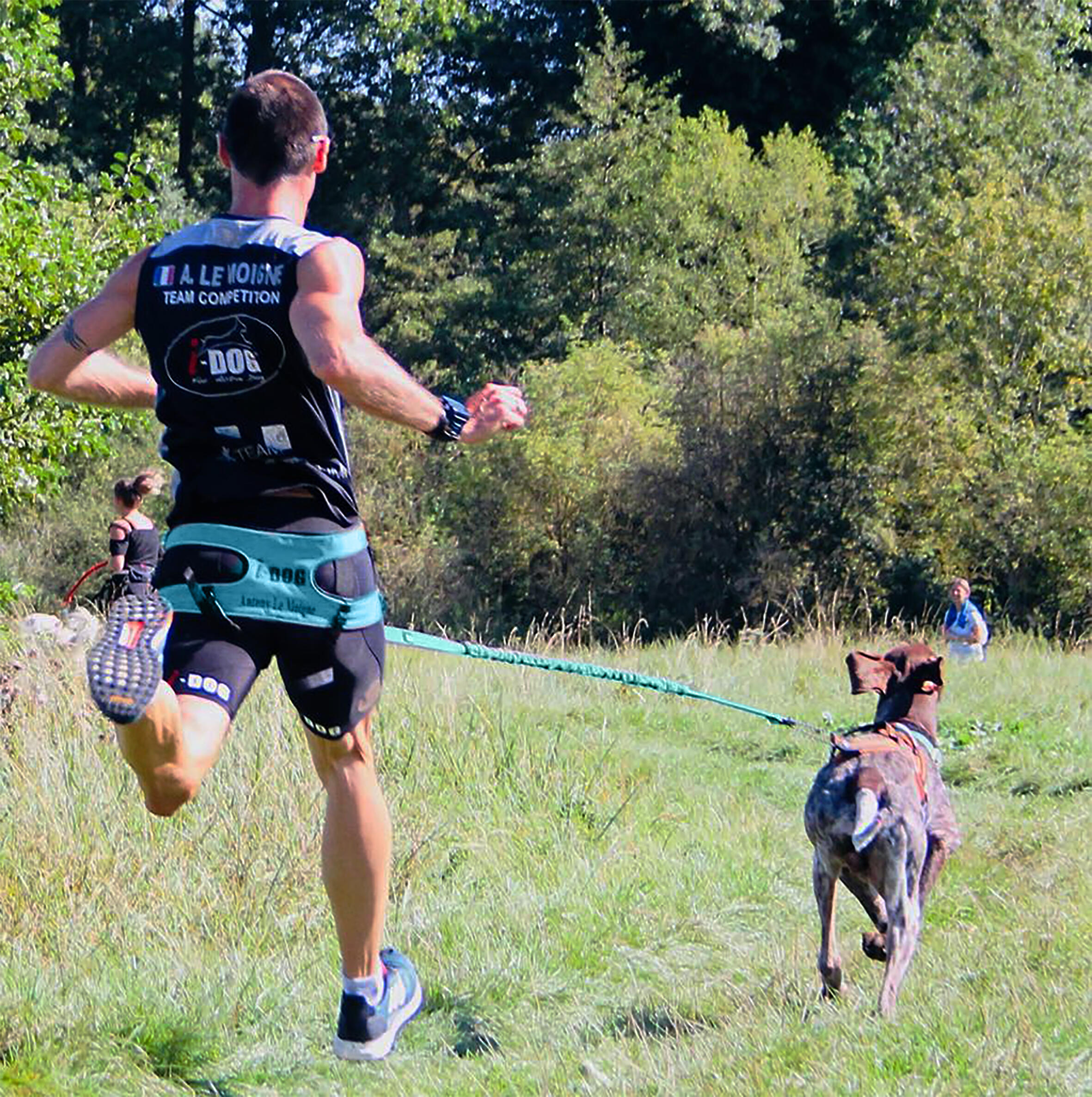 Baudrier für Hunde I-DOG Canicross Canyon ALM 7/7