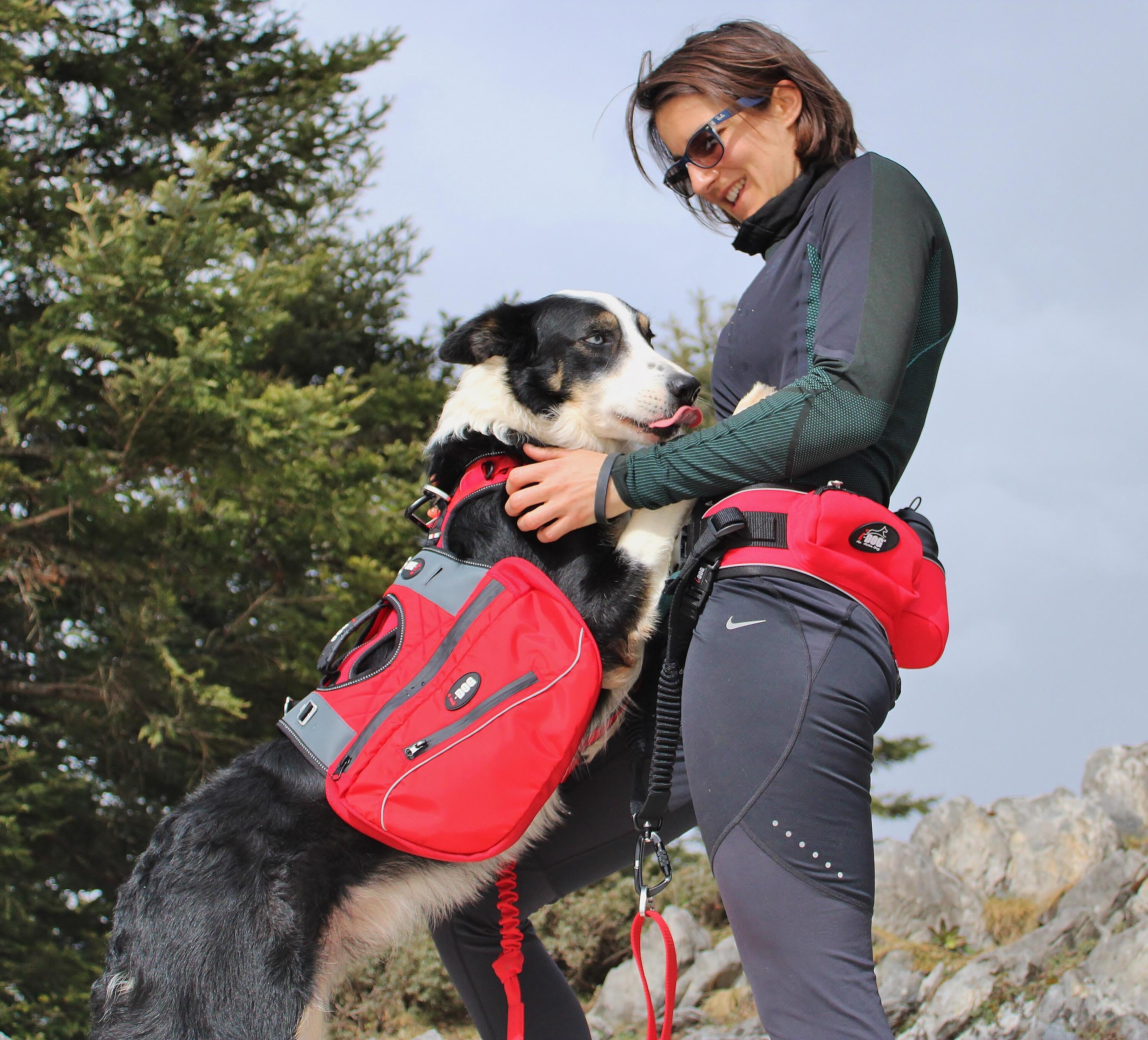 Harness I-DOG Confort Trek 7/7