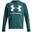 Hanorac Drumeții În Natură Under Armour Rival Big Logo Bărbați