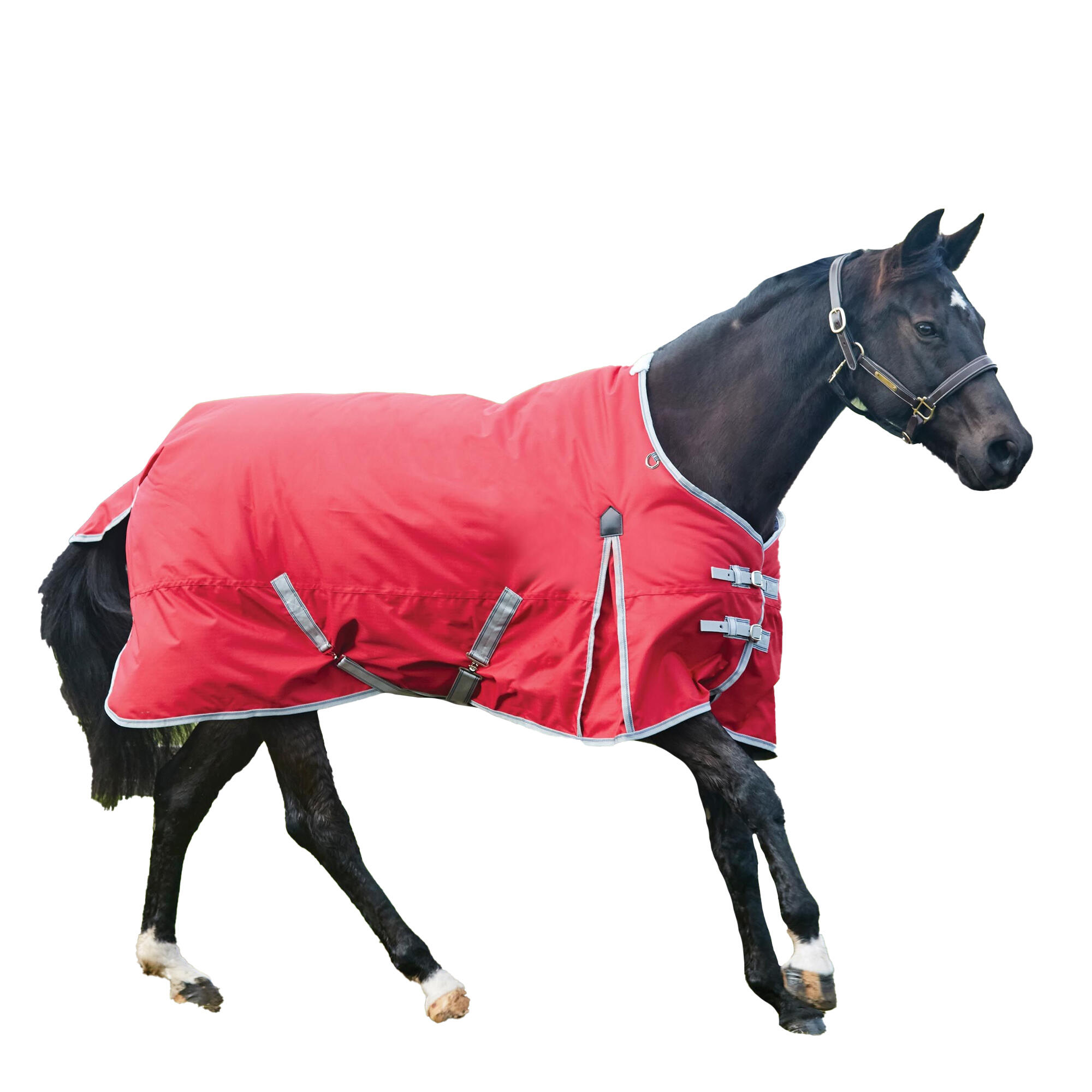 Comfitec Lite Classic Standard Neck Turnout Rug (Red/Silver/Navy) 3/3