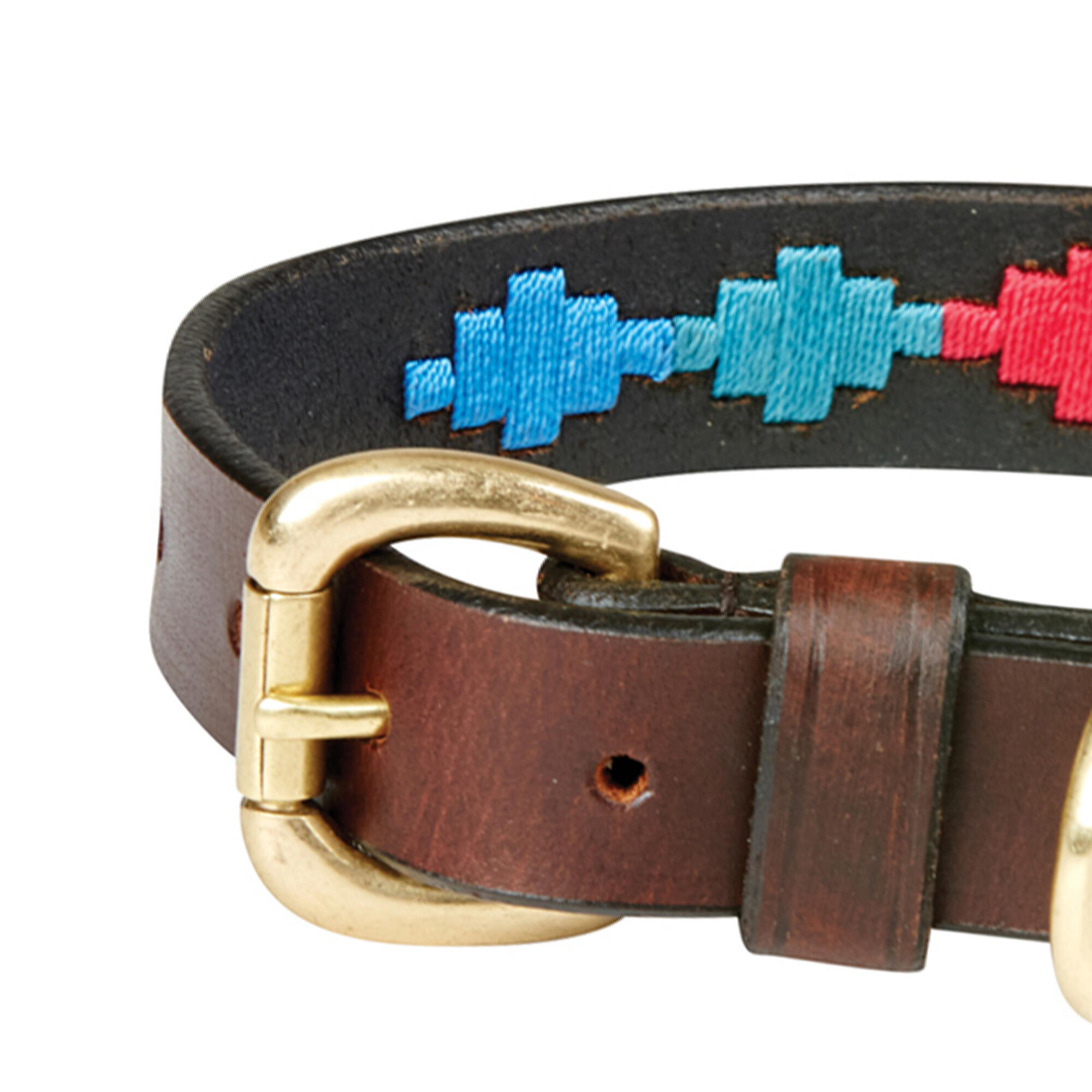 Polo Leather Dog Collar (Brown/Emerald Green/Pink/Blue) 3/3