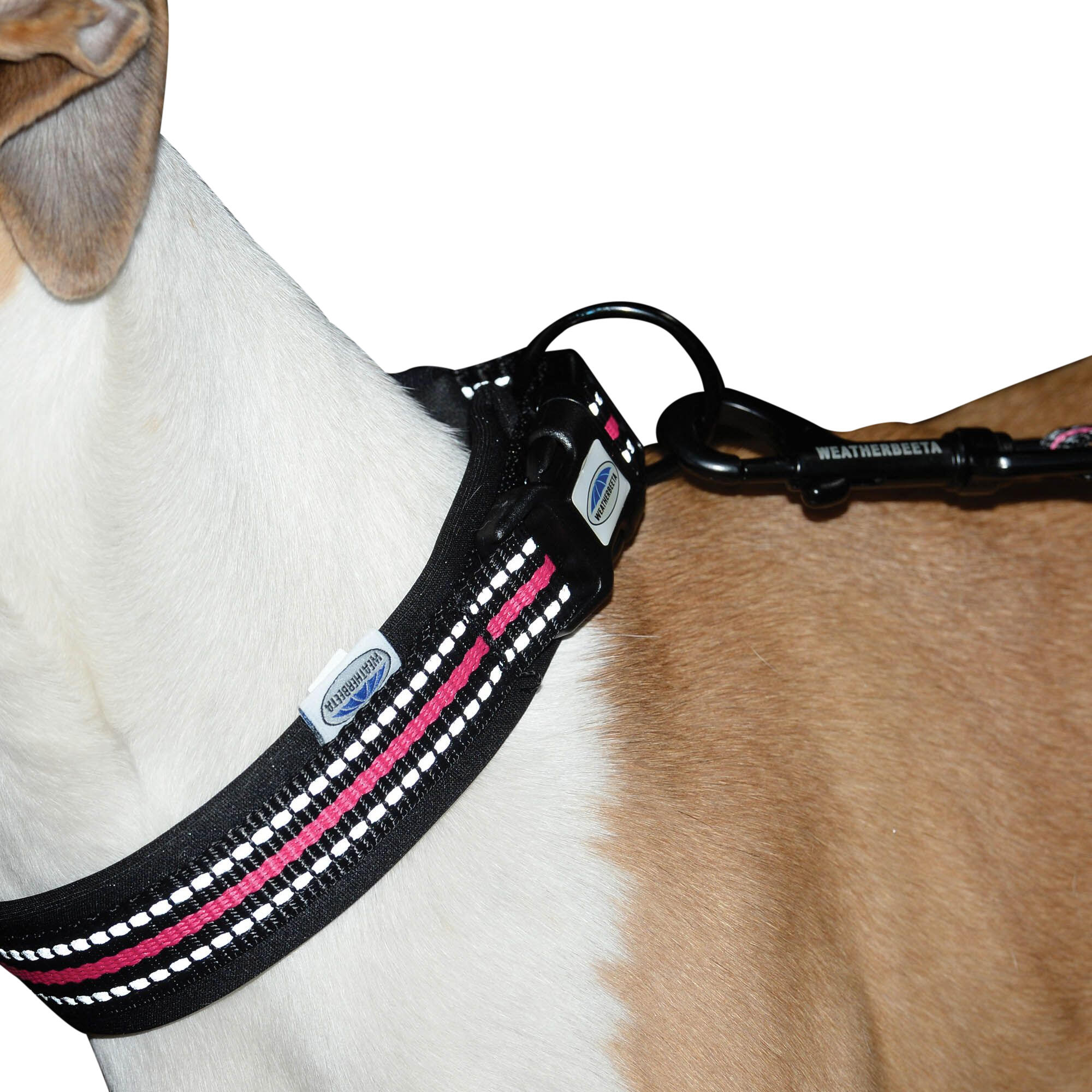 Reflective Dog Collar (Black/Pink) 3/3