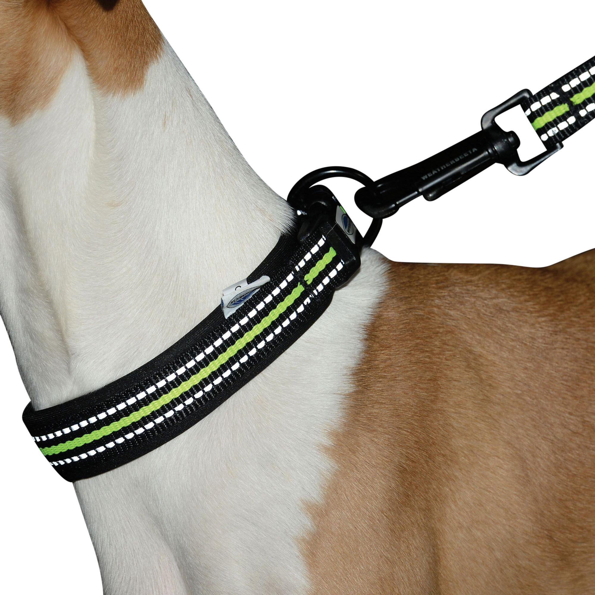 Reflective Dog Collar (Black/Yellow) 3/3