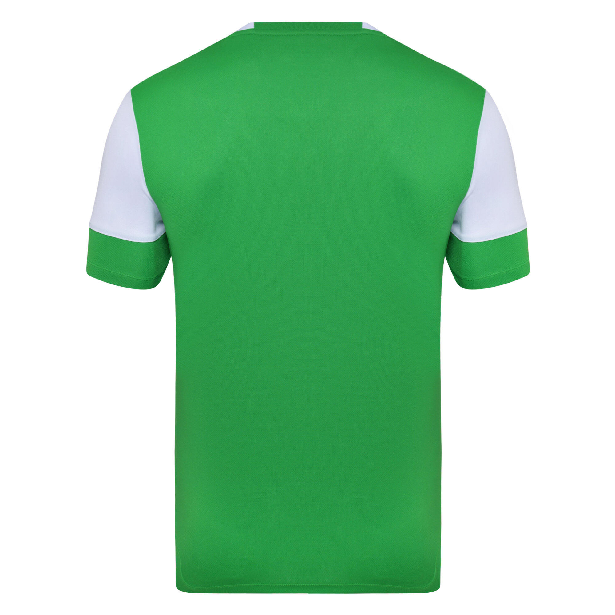 VIER Children's jersey (Emerald / White)