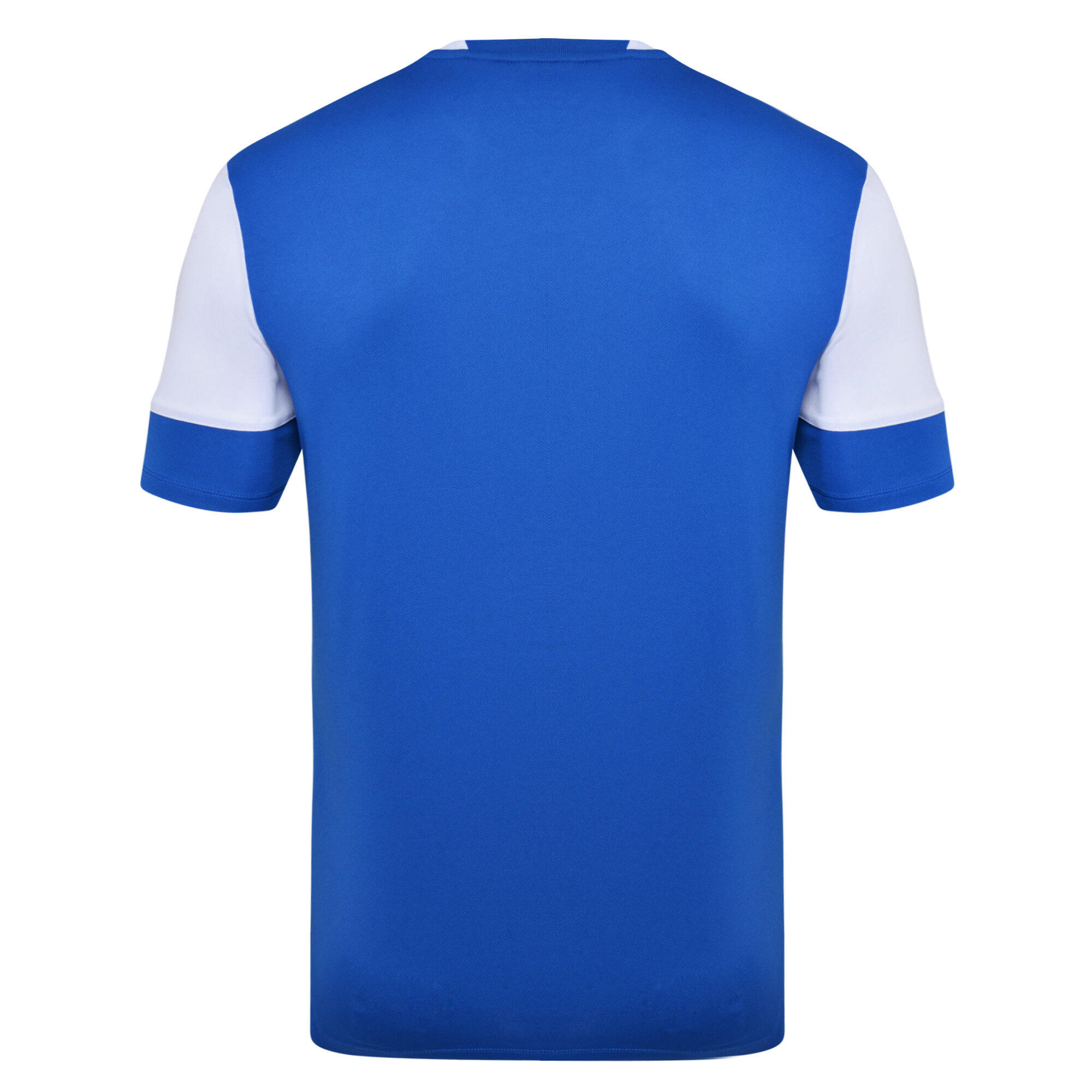 Childrens/Kids Vier Jersey (Royal Blue/White) 2/3