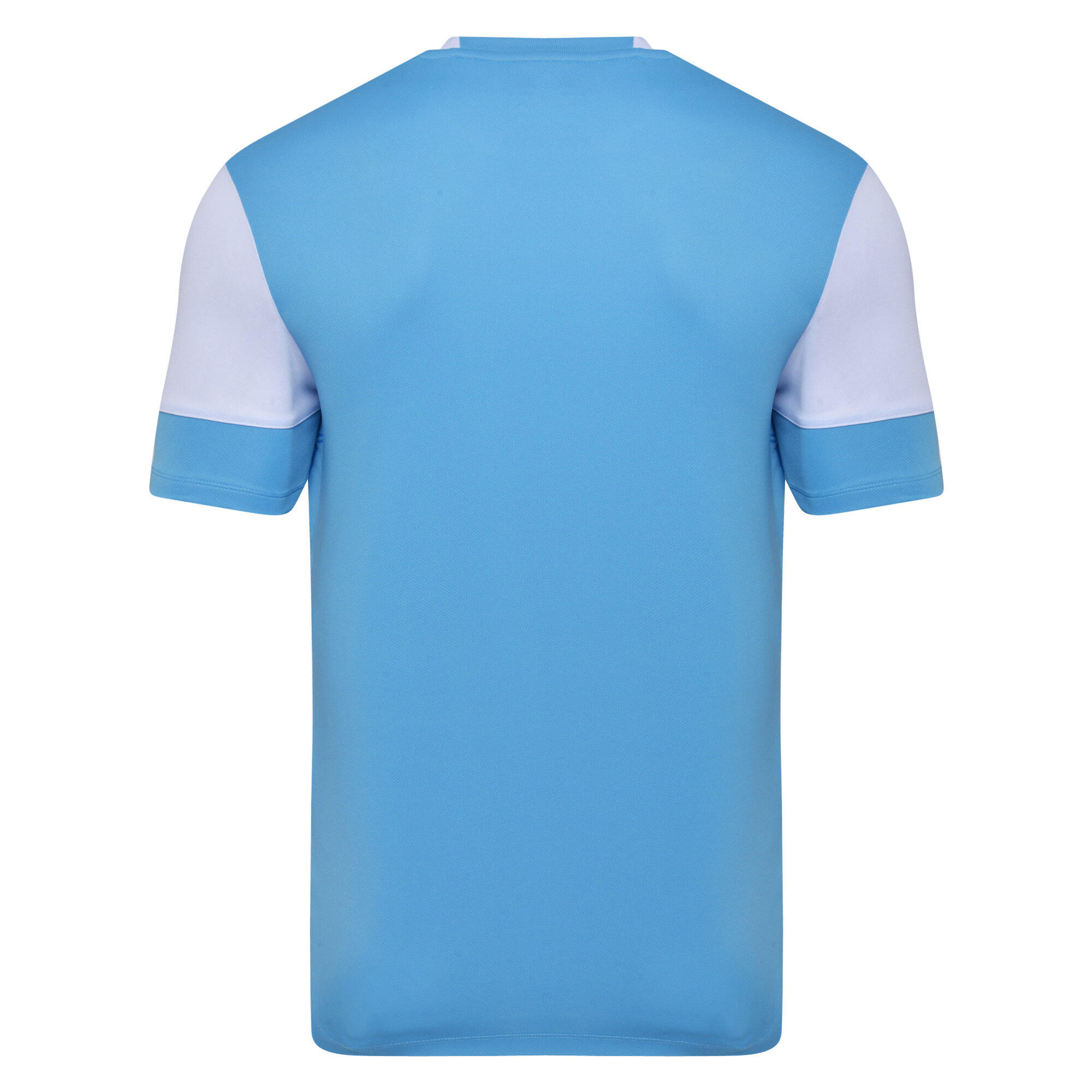 Childrens/Kids Vier Jersey (Sky Blue/White) 2/3