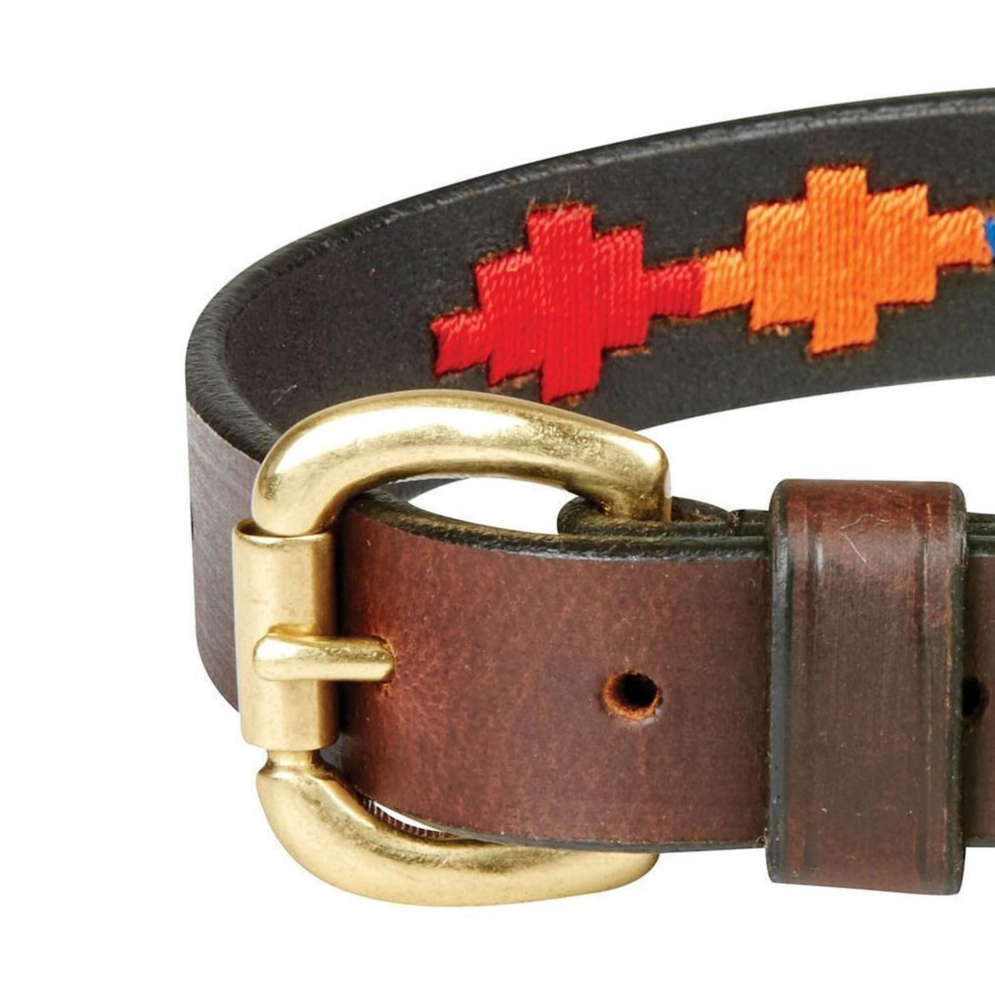 Polo Leather Dog Collar (Brown/Red/Orange/Blue) 3/3