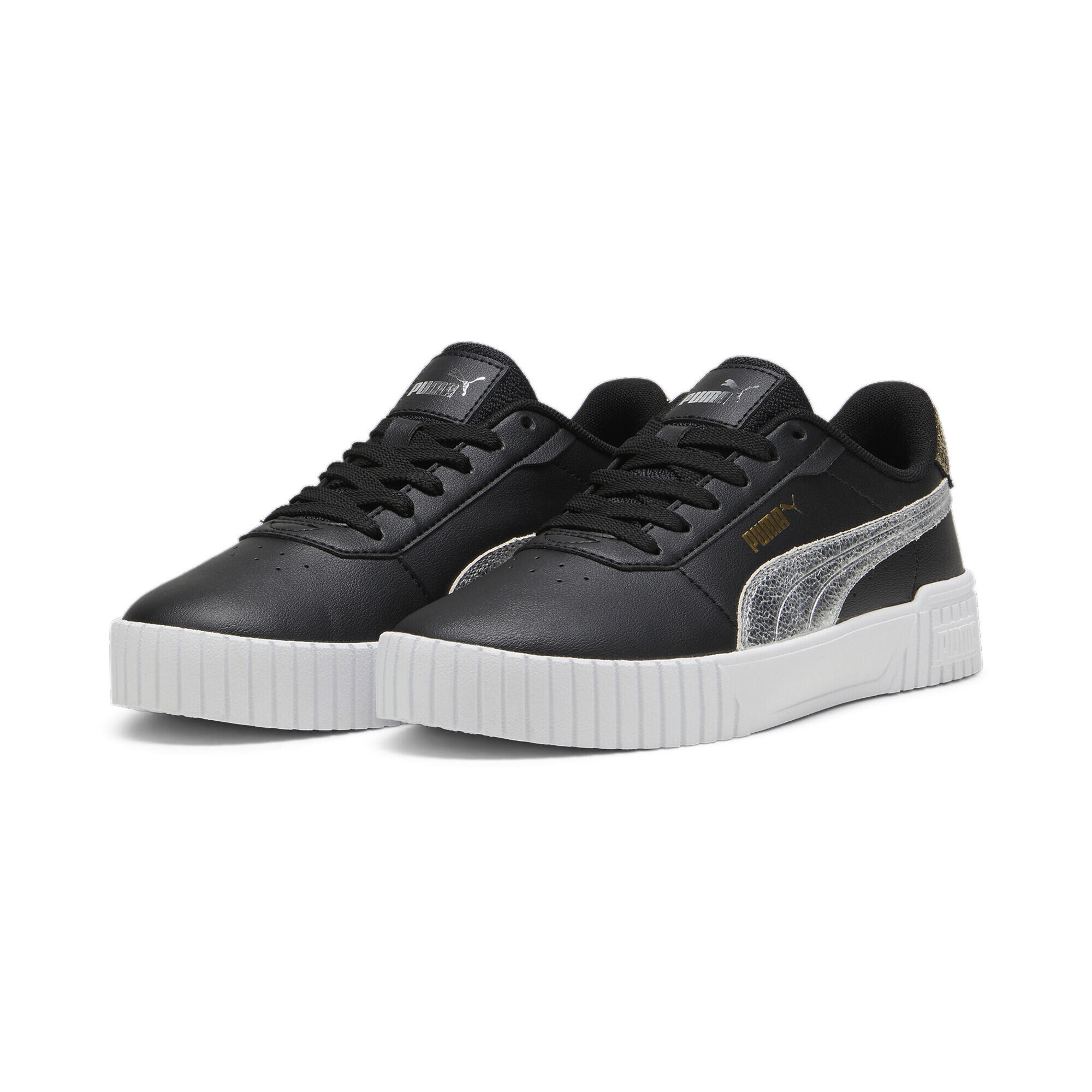 PUMA picture